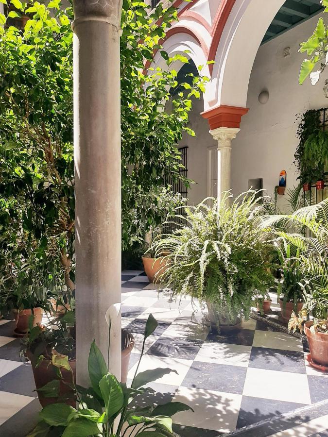 Downtown Loft In A 16Th Century Convent Leilighet Sevilla Eksteriør bilde